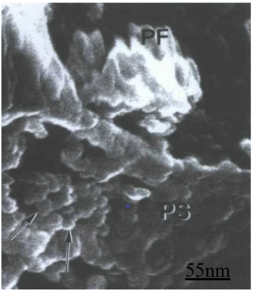 Biomedical Science & Research Biomedical Science & Research