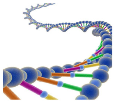 Biomedical Science & Research Biomedical Science & Research