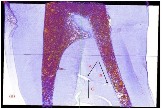 Biomedical Science & Research Biomedical Science & Research
