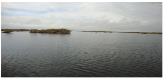 Biomedical Science & Research Biomedical Science & Research