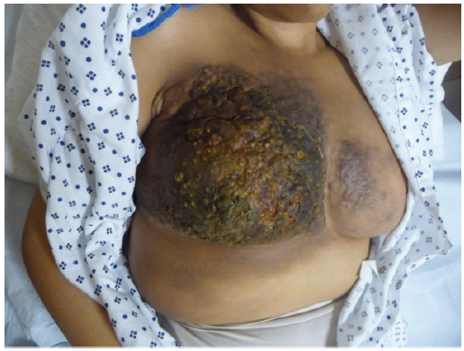 Biomedical Science & Research Biomedical Science & Research