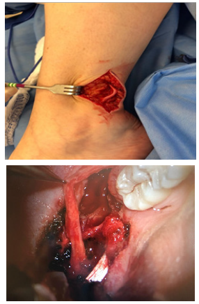 Biomedical Science &, Research Biomedical Science &, Research