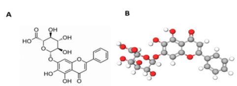 Biomedical Science &, Research Biomedical Science &, Research