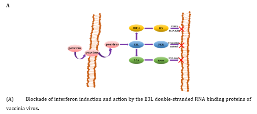 Biomedical Science &, Research Biomedical Science &, Research