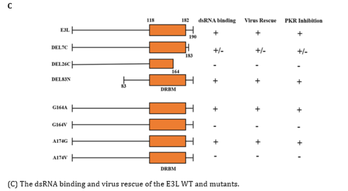 Biomedical Science &, Research Biomedical Science &, Research