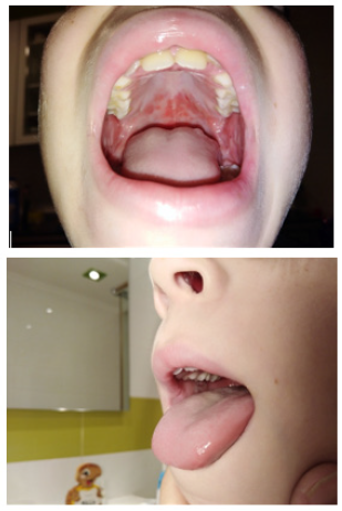 Biomedical Science &, Research Biomedical Science &, Research