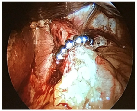 Biomedical Science &, Research Biomedical Science &, Research