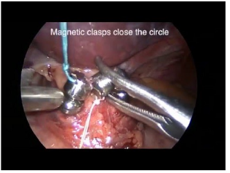 Biomedical Science &, Research Biomedical Science &, Research