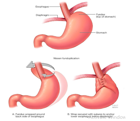 Biomedical Science &, Research Biomedical Science &, Research
