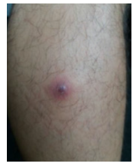 Biomedical Science &, Research Biomedical Science &, Research