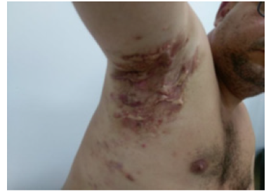 Biomedical Science &, Research Biomedical Science &, Research