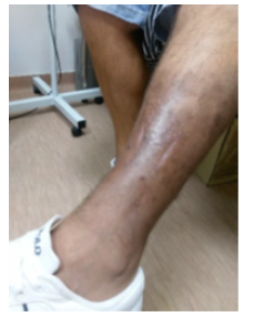 Biomedical Science &, Research Biomedical Science &, Research