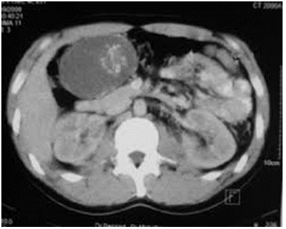 Biomedical Science &, Research Biomedical Science &, Research