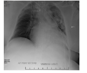 Biomedical Science &, Research Biomedical Science &, Research