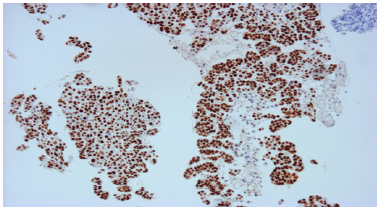 Biomedical Science &, Research Biomedical Science &, Research