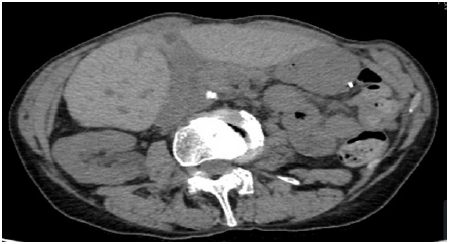 Biomedical Science &, Research Biomedical Science &, Research
