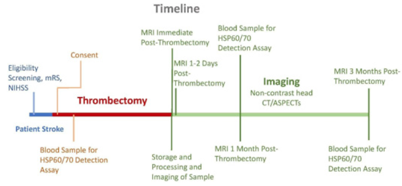 Biomedical Science &, Research Biomedical Science &, Research