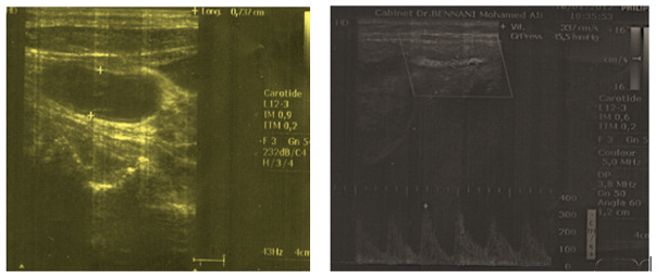 Biomedical Science &, Research Biomedical Science &, Research