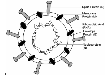 Biomedical Science &, Research Biomedical Science &, Research