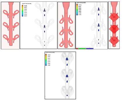 Biomedical Science &, Research Biomedical Science &, Research
