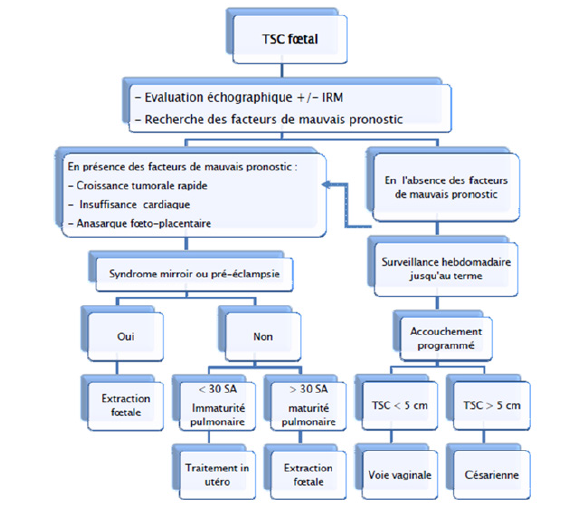 Biomedical Science &, Research Biomedical Science &, Research