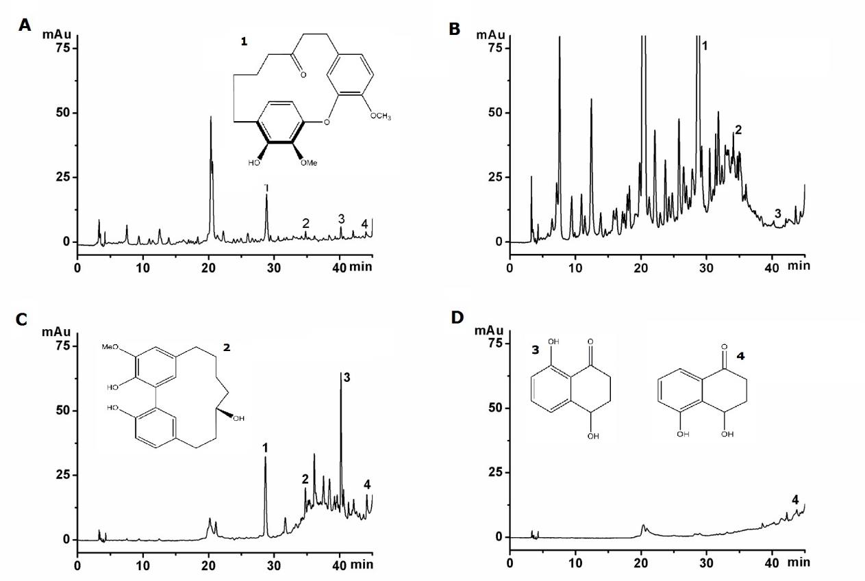 Biomedical Science &, Research Biomedical Science &, Research