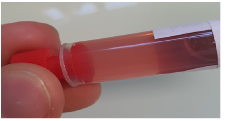 Biomedical Science &, Research Biomedical Science &, Research