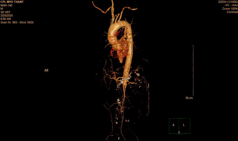 Biomedical Science &, Research Biomedical Science &, Research