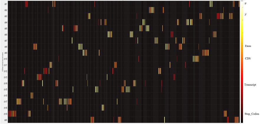 Biomedical Science &, Research Biomedical Science &, Research