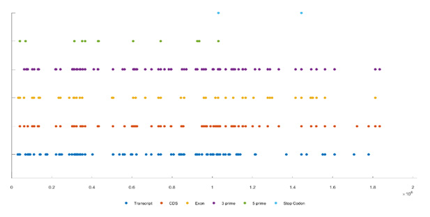 Biomedical Science &, Research Biomedical Science &, Research
