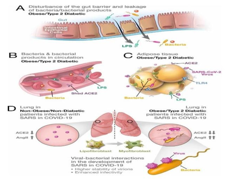 Biomedical Science &, Research Biomedical Science &, Research