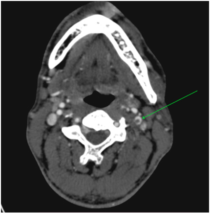 Biomedical Science &, Research Biomedical Science &, Research