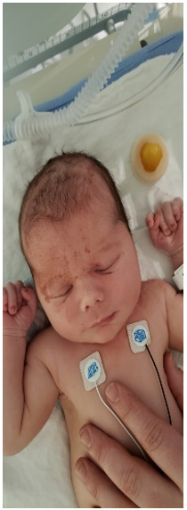 Biomedical Science &, Research Biomedical Science &, Research