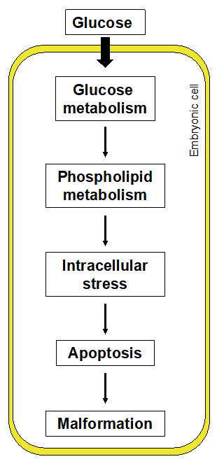 Biomedical Science &, Research Biomedical Science &, Research