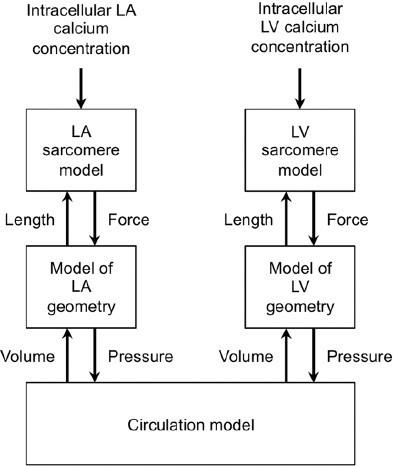 Biomedical Science &, Research Biomedical Science &, Research