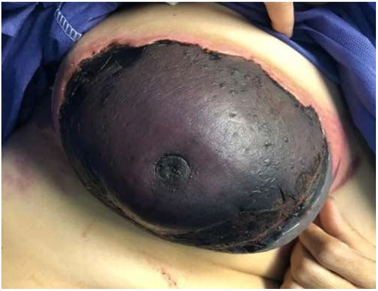 Biomedical Science &, Research Biomedical Science &, Research