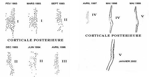 Biomedical Science &, Research Biomedical Science &, Research
