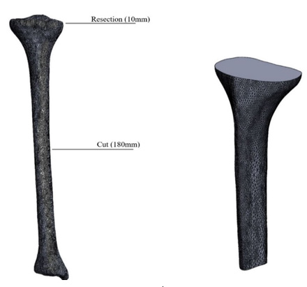 Biomedical Science &, Research Biomedical Science &, Research