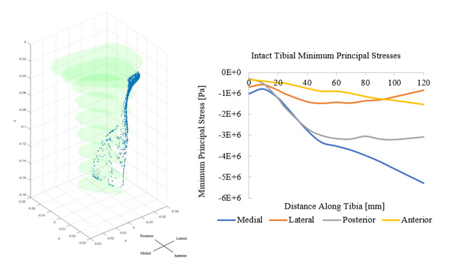 Biomedical Science &, Research Biomedical Science &, Research