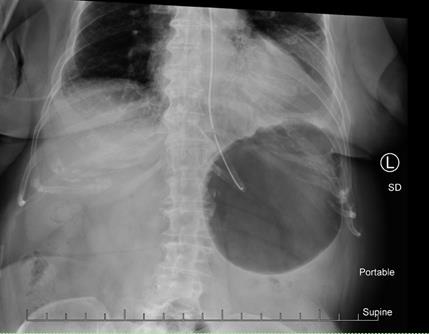 Biomedical Science &, Research Biomedical Science &, Research