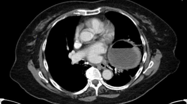 Biomedical Science &, Research Biomedical Science &, Research