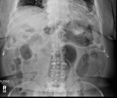 Biomedical Science &, Research Biomedical Science &, Research