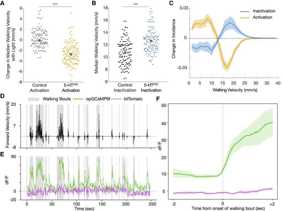 Biomedical Science &, Research Biomedical Science &, Research
