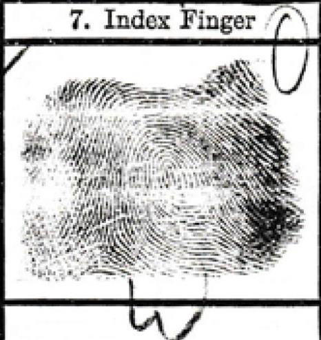 Biomedical Science &, Research Biomedical Science &, Research