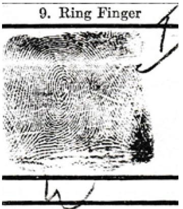 Biomedical Science &, Research Biomedical Science &, Research