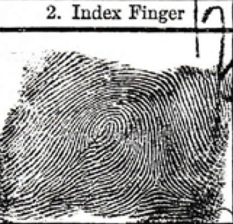 Biomedical Science &, Research Biomedical Science &, Research