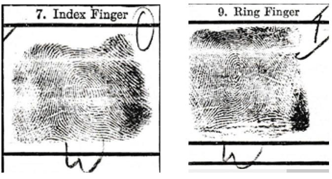 Biomedical Science &, Research Biomedical Science &, Research