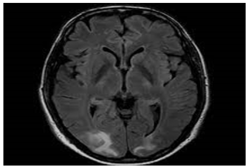 Biomedical Science &, Research Biomedical Science &, Research