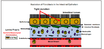Biomedical Science &, Research Biomedical Science &, Research