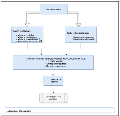 Biomedical Science &, Research Biomedical Science &, Research
